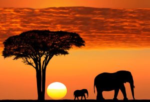 13 zile Tanzania & Zanzibar – Safari in Parcurile Nationale & Triburile Maasailor |  3290 EUR